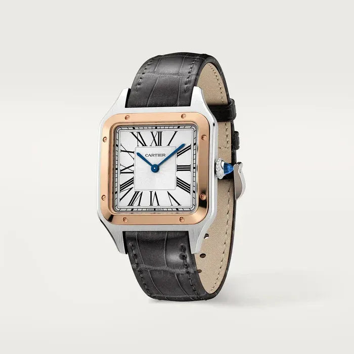 Cartier Santos Dumont