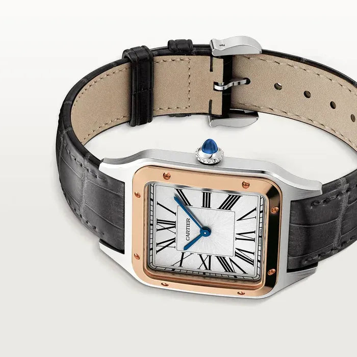 Cartier Santos Dumont