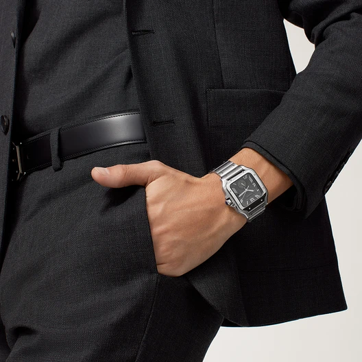 Santos de Cartier Dual Time