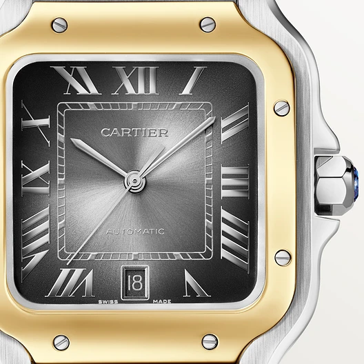 Montre Santos de Cartier Acier &amp; Or Jaune 